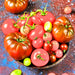 Super Surprise Mix, Tomato, - BoxGardenSeedsLLC -Tomatoes,Tomatillos - Seeds