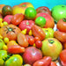 Super Surprise Mix, Tomato, - BoxGardenSeedsLLC -Tomatoes,Tomatillos - Seeds