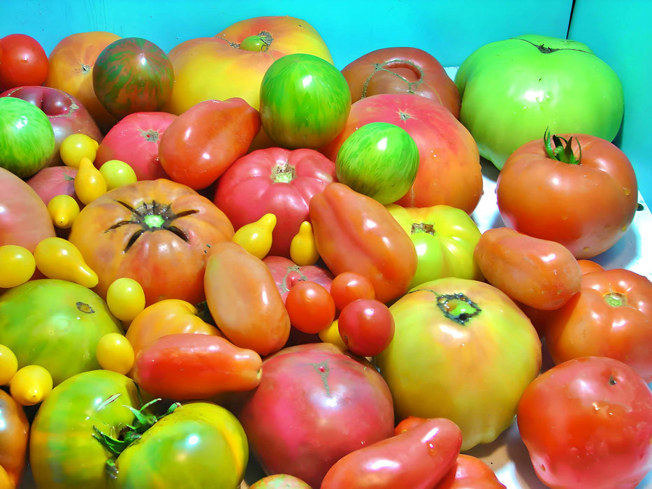 Super Surprise Mix, Tomato, - BoxGardenSeedsLLC -Tomatoes,Tomatillos - Seeds