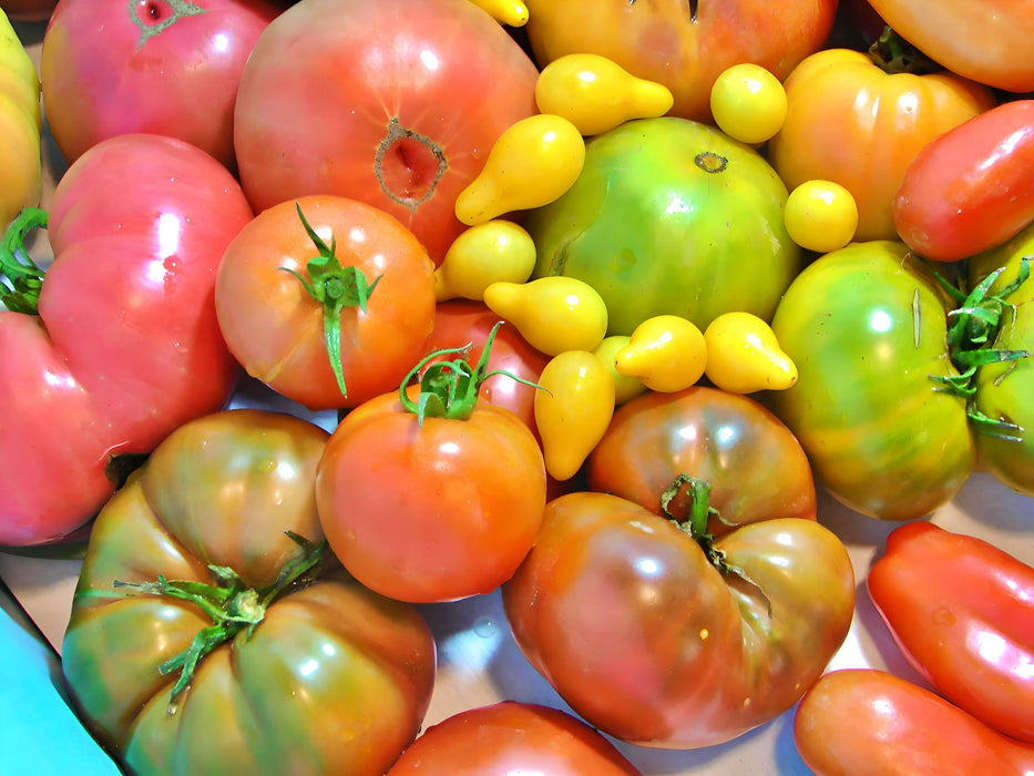 Super Surprise Mix, Tomato, - BoxGardenSeedsLLC -Tomatoes,Tomatillos - Seeds