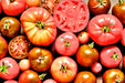 Super Surprise Mix, Tomato, -- BoxGardenSeedsLLC -Tomatoes,Tomatillos - Seeds