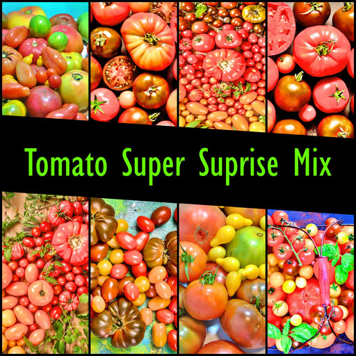 Super Surprise Mix, Tomato, - BoxGardenSeedsLLC -Tomatoes,Tomatillos - Seeds