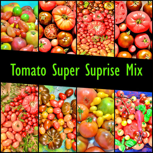 Super Surprise Mix, Tomato, -- BoxGardenSeedsLLC -Tomatoes,Tomatillos - Seeds