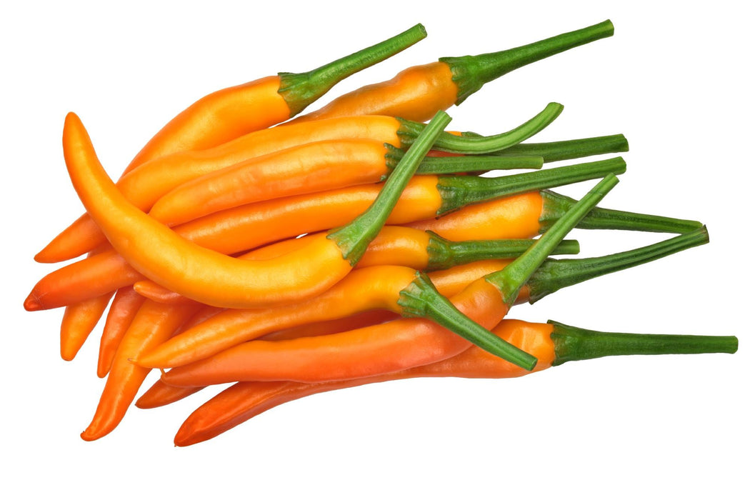 Orange Cayenne, Hot Pepper, - BoxGardenSeedsLLC -Peppers,Eggplants - Seeds