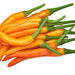 Orange Cayenne, Hot Pepper, - BoxGardenSeedsLLC -Peppers,Eggplants - Seeds