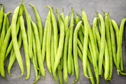 Kentucky Wonder Brown, Pole Bean - BoxGardenSeedsLLC - Beans / Dry Beans - Seeds - 