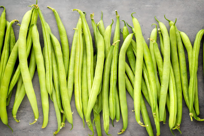 Kentucky Wonder Brown, Pole Bean - BoxGardenSeedsLLC - Beans / Dry Beans - Seeds - 