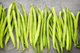 Kentucky Wonder Brown, Pole Bean, -- BoxGardenSeedsLLC - - Seeds