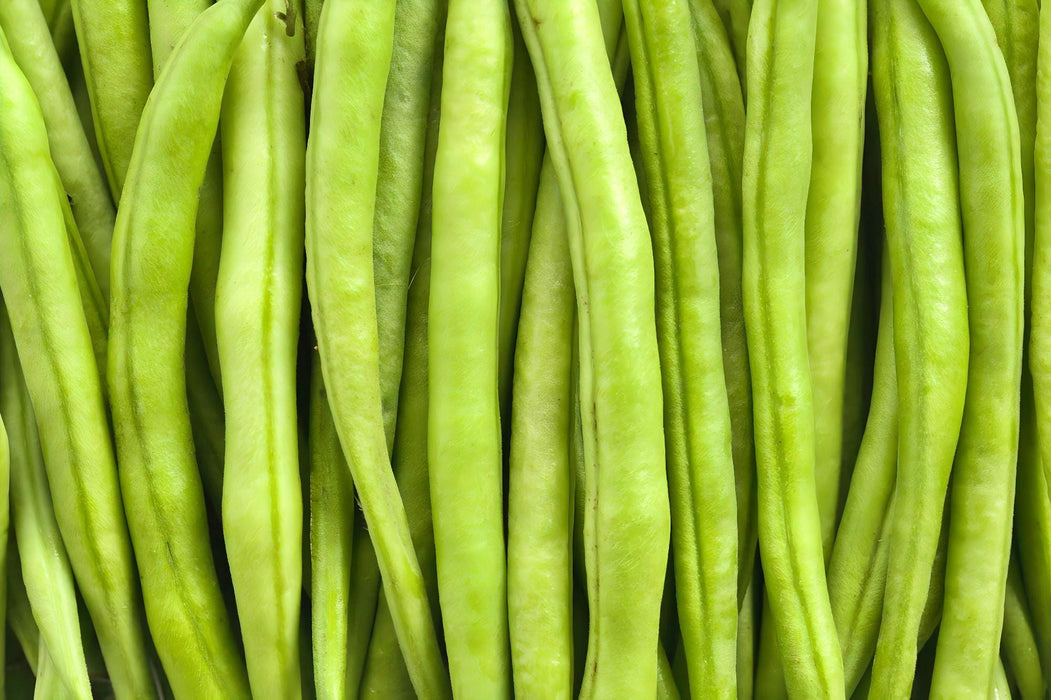 Kentucky Wonder Brown, Pole Bean, - BoxGardenSeedsLLC - - Seeds