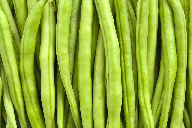 Kentucky Wonder Brown, Pole Bean - BoxGardenSeedsLLC - Beans / Dry Beans - Seeds - 