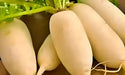 Giant Luo Buo, Radish, -- BoxGardenSeedsLLC -Radishes - Seeds