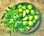 Basil, Lime - BoxGardenSeedsLLC - Culinary/Medicinal Herbs - Seeds - USA Seller, Thank you for shopping here today, Naturally Grown GMO Free Seeds, Heirloom Open Pollinated Seeds, Fresh Top Quality Premium Seeds