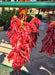 Big Jim Legacy Hatch Chile, Hot Pepper - BoxGardenSeedsLLC - Peppers,Eggplants - Seeds - USA Seller, Thank you for shopping here today, Naturally Grown GMO Free Seeds, Heirloom Open Pollinated Seeds, Fresh Top Quality Premium Seeds