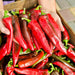 Big Jim Legacy Hatch Chile, Hot Pepper, - BoxGardenSeedsLLC -Abundant Stock SALE - Seeds