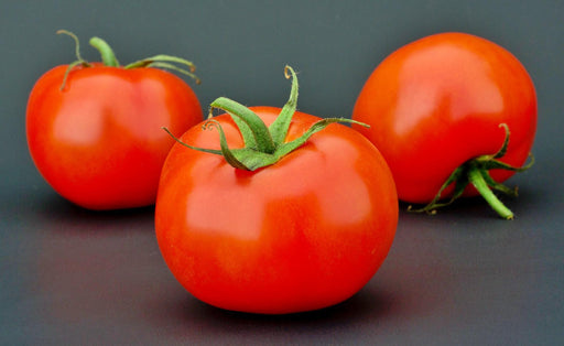 Burbank, Tomato, -- BoxGardenSeedsLLC -Tomatoes,Tomatillos - Seeds