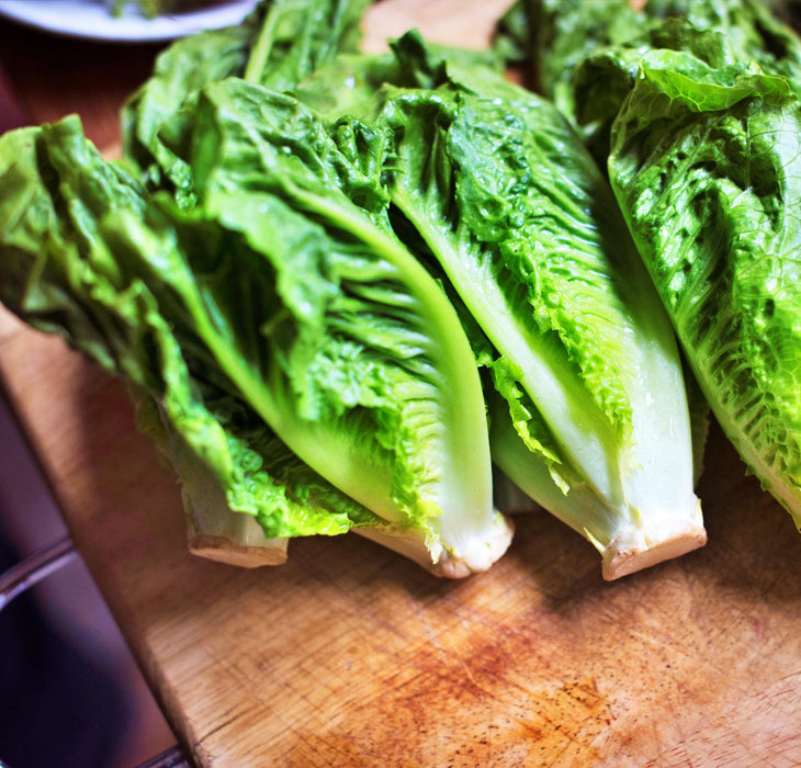 Giant Caesar, Romaine Lettuce, -- BoxGardenSeedsLLC -Lettuce - Seeds