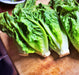 Giant Caesar, Romaine Lettuce, -- BoxGardenSeedsLLC -Lettuce - Seeds