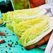 Kogane, Chinese Cabbage, - BoxGardenSeedsLLC -Cabbage, Kale - Seeds