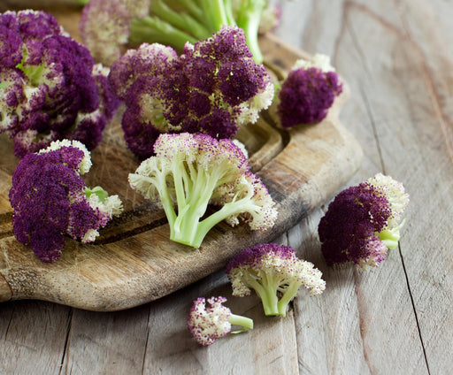 Cauliflower, Purple Cape, -- BoxGardenSeedsLLC -Broccoli,Cauliflower - Seeds