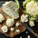 Amazing, Cauliflower, - BoxGardenSeedsLLC -Broccoli,Cauliflower - Seeds