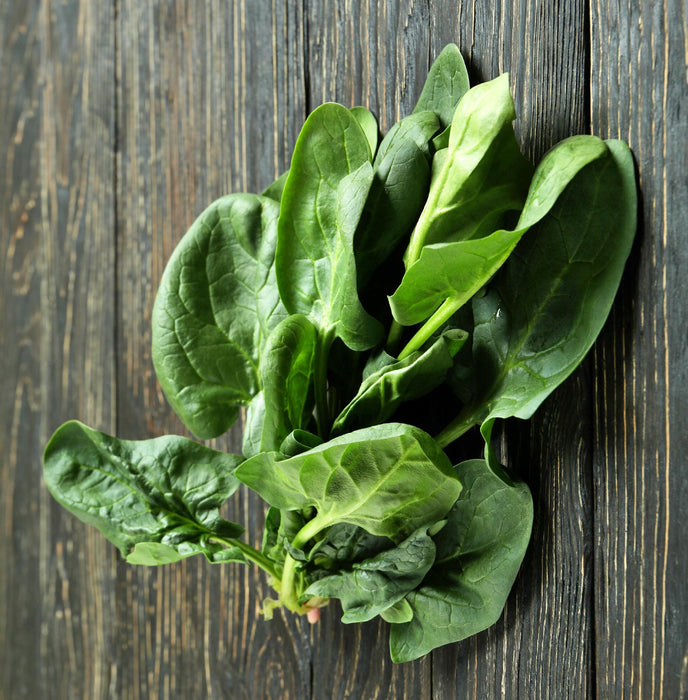 Winter Giant, Spinach, -- BoxGardenSeedsLLC -Gourmet/Native Greens - Seeds