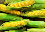 Early Golden Bantam, Sweet Corn - BoxGardenSeedsLLC - Corn - Seeds - 