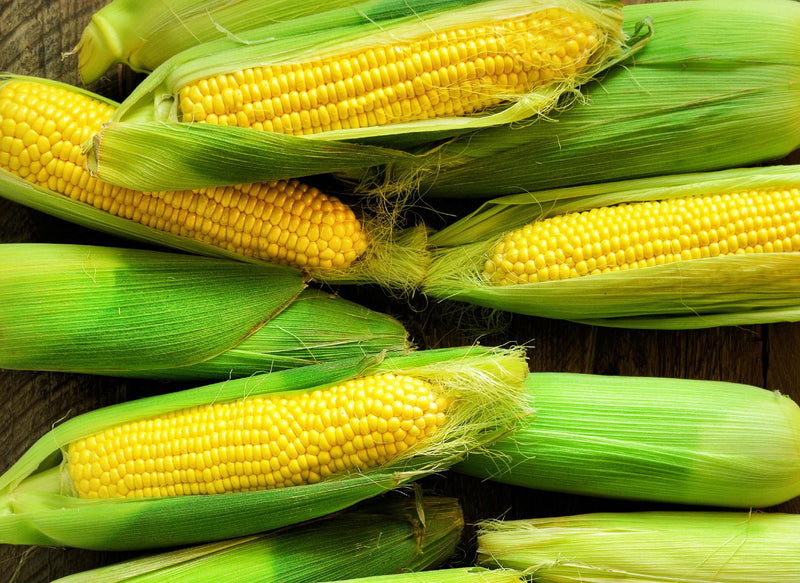 Early Golden Bantam, Sweet Corn - BoxGardenSeedsLLC - Corn - Seeds - 