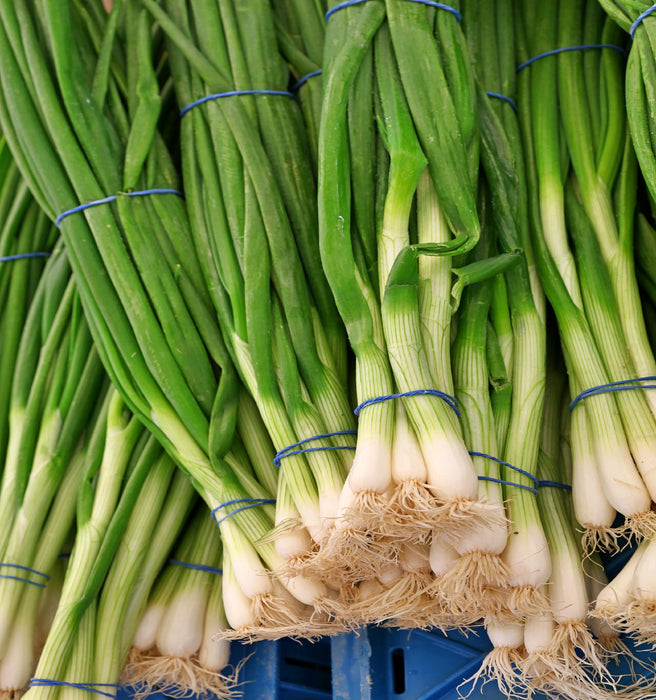 Heshiko, Japanese Bunching Onion, - BoxGardenSeedsLLC -Onions,Leeks - Seeds