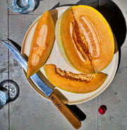 Honey Rock, Melon - BoxGardenSeedsLLC - Melons, Cantaloupe - Seeds - USA Seller, Thank you for shopping here today, Naturally Grown GMO Free Seeds, Heirloom Open Pollinated Seeds, Fresh Top Quality Premium Seeds