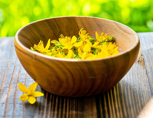 St. Johns Wort, Culinary & Medicinal Herbs, - BoxGardenSeedsLLC -Culinary/Medicinal Herbs - Seeds