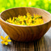 St. Johns Wort, Culinary & Medicinal Herbs, - BoxGardenSeedsLLC -Culinary/Medicinal Herbs - Seeds