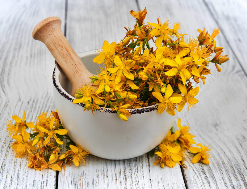 St. Johns Wort, Culinary & Medicinal Herbs - BoxGardenSeedsLLC - Culinary/Medicinal Herbs - Seeds - USA Seller, Thank you for shopping here today, Naturally Grown GMO Free Seeds, Heirloom Open Pollinated Seeds, Fresh Top Quality Premium Seeds