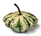 Jaune et Verte, Scallop Summer Squash - BoxGardenSeedsLLC - Squash,Pumpkins - Seeds - 