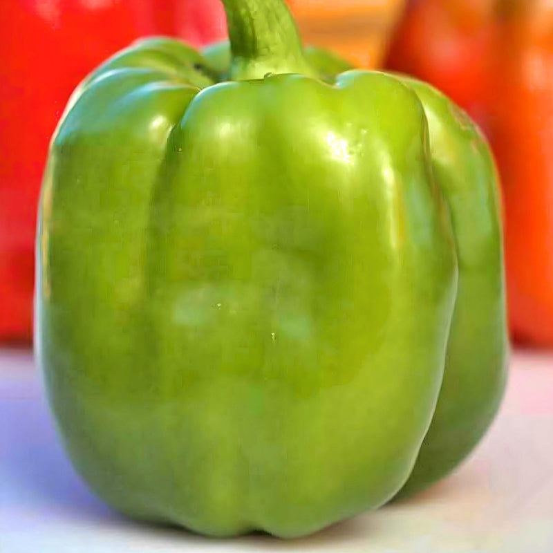 Emerald Giant, Sweet Bell Pepper - BoxGardenSeedsLLC - Peppers,Eggplants - Seeds - USA Seller, Thank you for shopping here today, Naturally Grown GMO Free Seeds, Heirloom Open Pollinated Seeds, Fresh Top Quality Premium Seeds