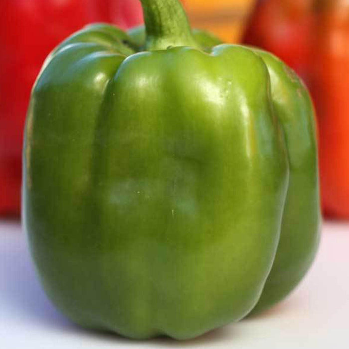 Emerald Giant, Sweet Bell Pepper - BoxGardenSeedsLLC - Peppers,Eggplants - Seeds - USA Seller, Thank you for shopping here today, Naturally Grown GMO Free Seeds, Heirloom Open Pollinated Seeds, Fresh Top Quality Premium Seeds