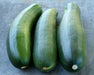 Black Beauty Zucchini, Summer Squash, -- BoxGardenSeedsLLC -Squash,Pumpkins - Seeds