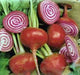 Chioggia, Beets, -- BoxGardenSeedsLLC -Beet,Turnips,Parsnips - Seeds