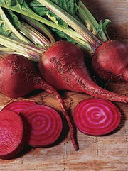 Lutz Long Season, Beets - BoxGardenSeedsLLC - Beet,Turnips,Parsnips - Seeds - USA Seller, Thank you for shopping here today, Naturally Grown GMO Free Seeds, Heirloom Open Pollinated Seeds, Fresh Top Quality Premium Seeds