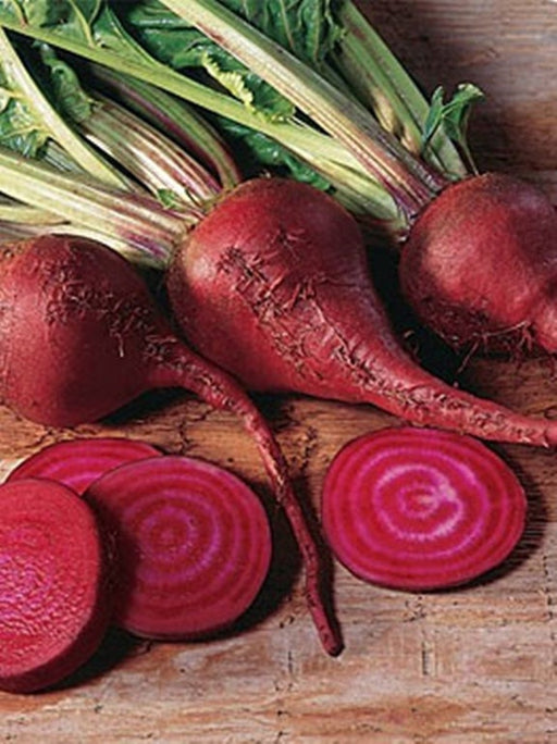 Lutz Long Season, Beets, -- BoxGardenSeedsLLC -Beets,Turnips,Parsnips - Seeds