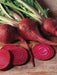 Lutz Long Season, Beets, -- BoxGardenSeedsLLC -Beets,Turnips,Parsnips - Seeds