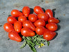- BoxGardenSeedsLLC - Red Pear, Tomato, - Tomatoes,Tomatillos - Seeds