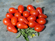 Red Pear, Tomato - BoxGardenSeedsLLC - Tomatoes,Tomatillos - Seeds - 