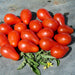 Austins Red Pear, Tomato, - BoxGardenSeedsLLC -Tomatoes,Tomatillos - Seeds