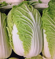 Michihili, Napa Chinese Cabbage - BoxGardenSeedsLLC - Cabbage, Kale - Seeds - USA Seller, Thank you for shopping here today, Naturally Grown GMO Free Seeds, Heirloom Open Pollinated Seeds, Fresh Top Quality Premium Seeds