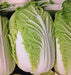 Matsushima, Japanese Napa Cabbage, -- BoxGardenSeedsLLC -Cabbage, Kale - Seeds