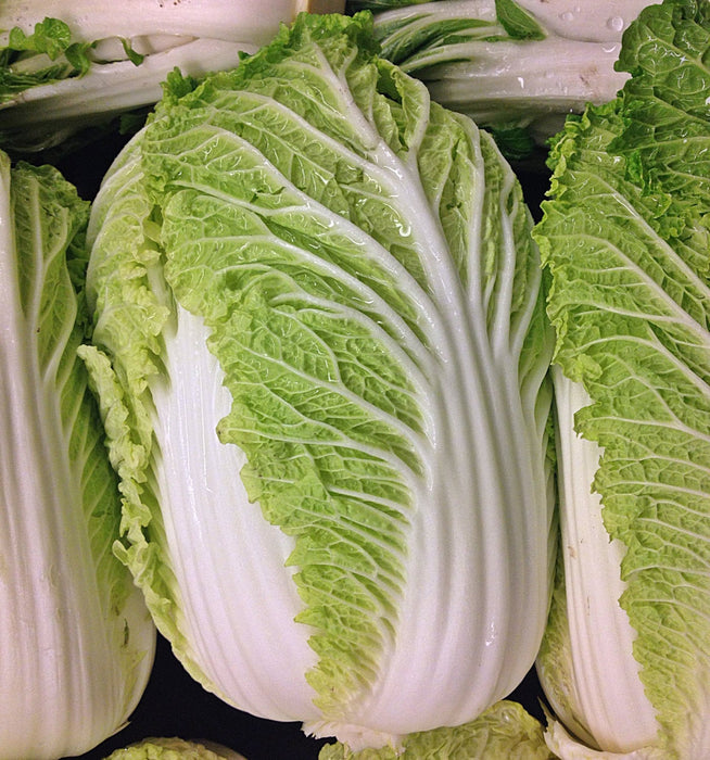 - BoxGardenSeedsLLC - Michihili, Chinese Napa Cabbage, - Cabbage, Kale - Seeds