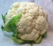 Snowball Y Improved, Cauliflower - BoxGardenSeedsLLC - Broccoli,Cauliflower - Seeds - USA Seller, Thank you for shopping here today, Naturally Grown GMO Free Seeds, Heirloom Open Pollinated Seeds, Fresh Top Quality Premium Seeds