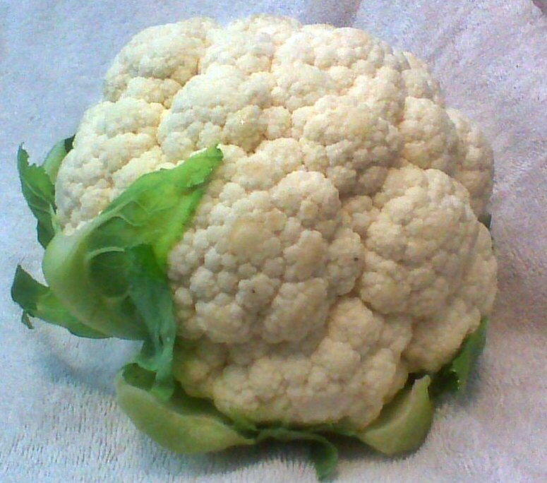 Snowball Y Improved, Cauliflower, - BoxGardenSeedsLLC -Broccoli,Cauliflower - Seeds