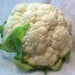 Snowball Y Improved, Cauliflower, - BoxGardenSeedsLLC -Broccoli,Cauliflower - Seeds