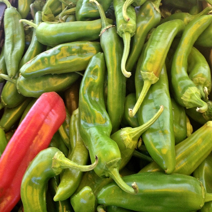 Anaheim, Hot Pepper - BoxGardenSeedsLLC - Peppers,Eggplants - Seeds - USA Seller, Thank you for shopping here today, Naturally Grown GMO Free Seeds, Heirloom Open Pollinated Seeds, Fresh Top Quality Premium Seeds